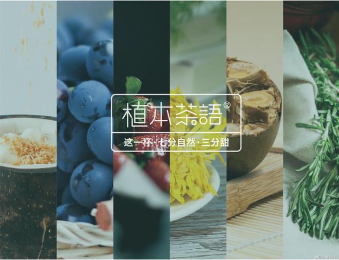 乐鱼app：植本茶语筹办伎俩奈何把顾客变为永远顾客(图1)